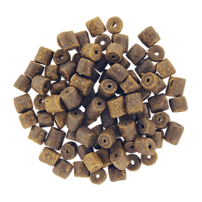 CAP RIVER Pellets Perforés 9mm (1kg)
