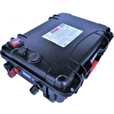 PROLITH Batterie Valise Lithium Ion Polymère 24V 80Ah+ Sortie Régulée 12V + Chargeur