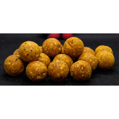 DUDI BAITS Bouillettes Tiger Nut Amur Dur (1kg)