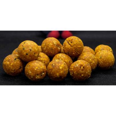 DUDI BAITS Bouillettes Tiger Nut Amur 20mm Dur (1kg)