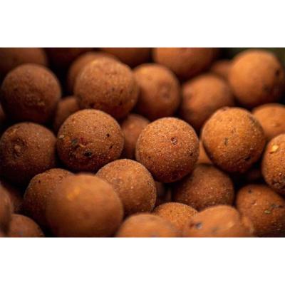 PRO LINE Bouillettes Spicy Squid & Cream 15mm (5kg)