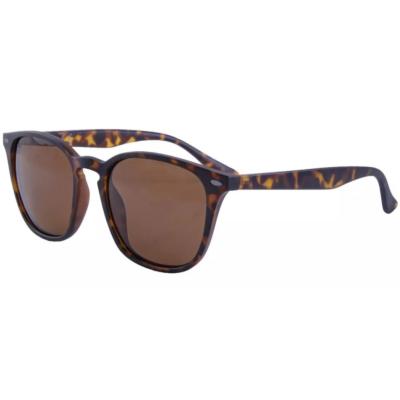 KORDA Shoreditch Matt Tortoise Shell / Brown Lens