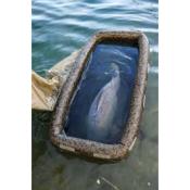 SOLAR SP C-Tech Floatation Cell