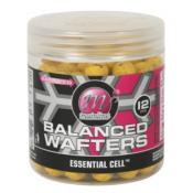 MAINLINE Balanced Wafters 12mm (x60)