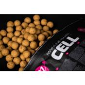 MAINLINE Shelf Life Boilies Cell (5kg)