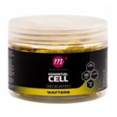 MAINLINE Wafters 15mm