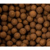 NASH Pack Scopex Squid Boilies (4 x 5kg)
